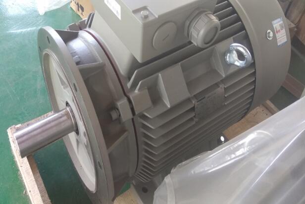 電摩電機(jī)型號(hào)有哪些，電摩電機(jī)型號(hào)詳解